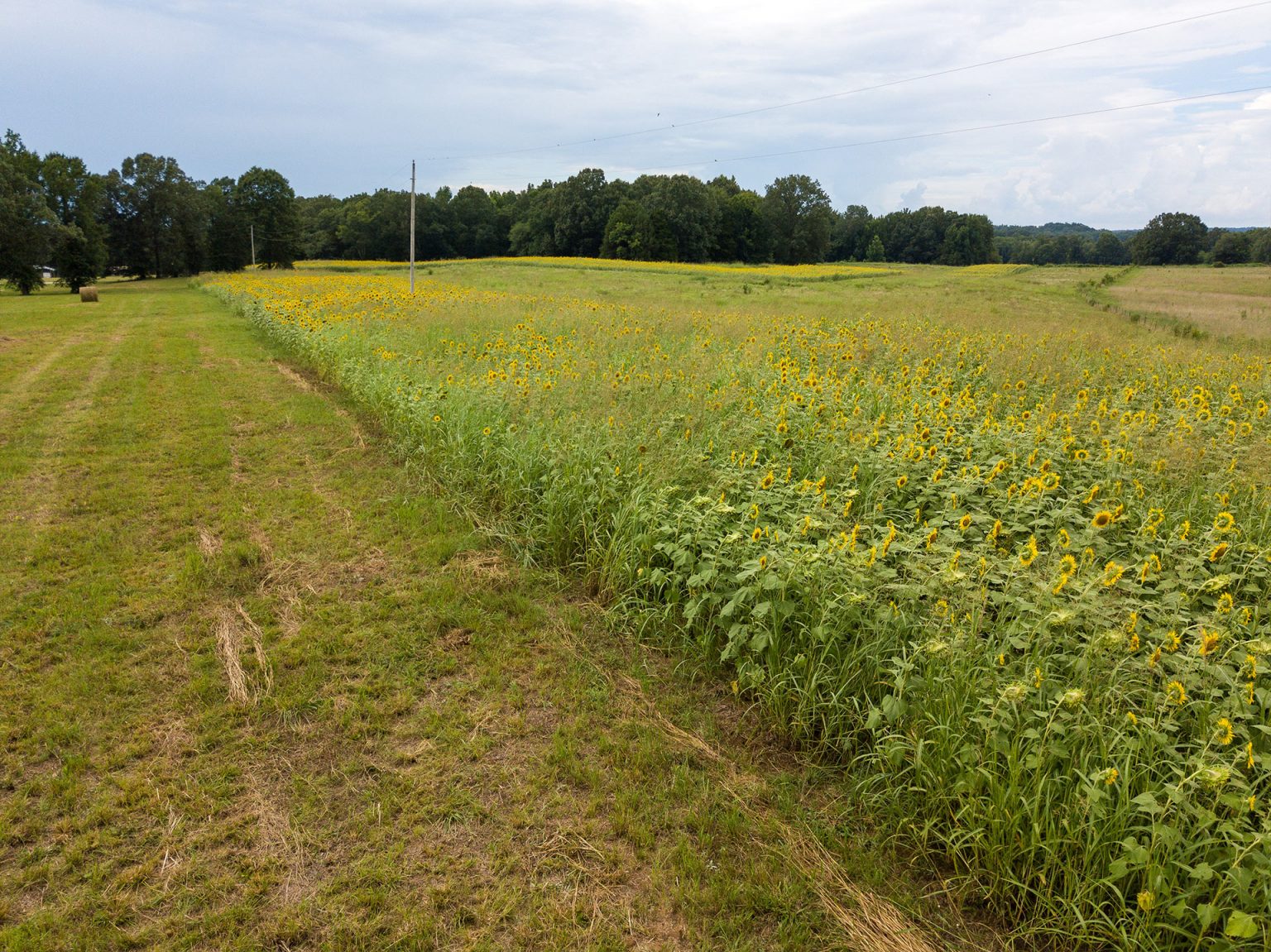 KY Lake Waterfront Lots Tennessee River Investors