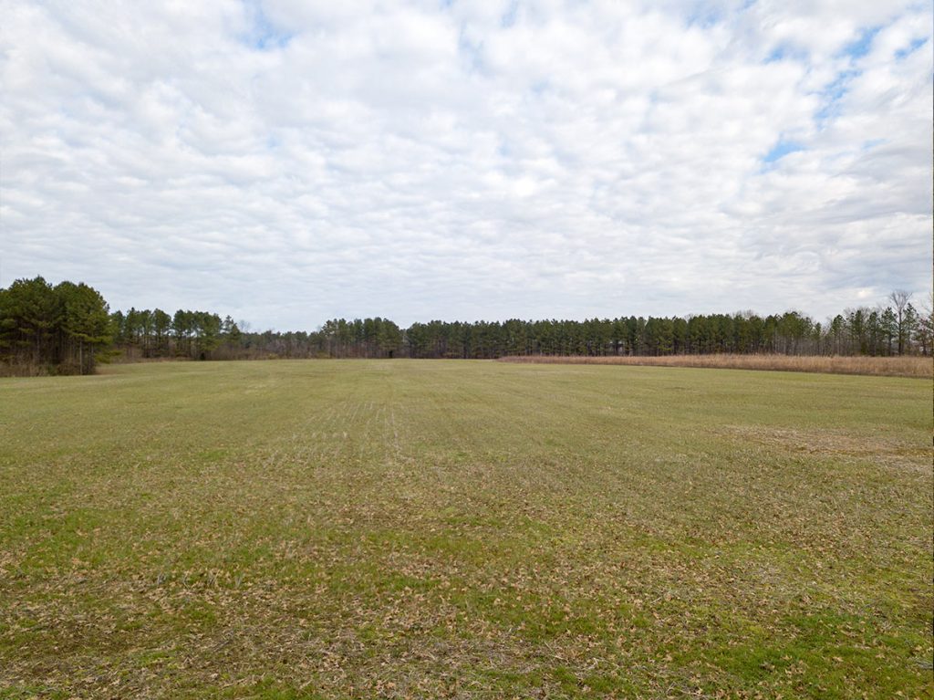 Farm-3
