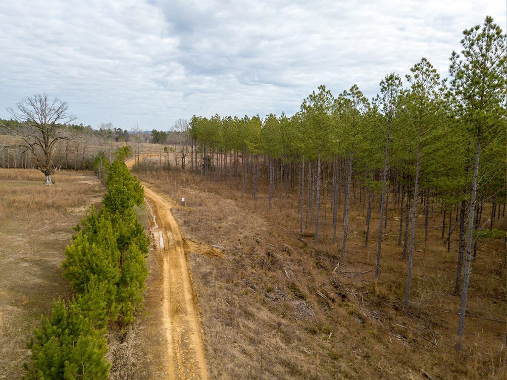 Farm-5