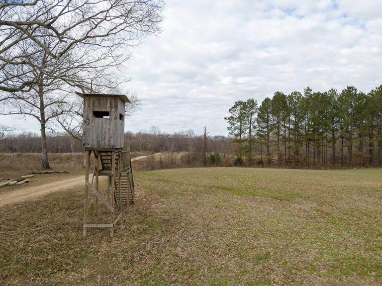 Tennessee Land and Lots For Sale Tennessee River Investors