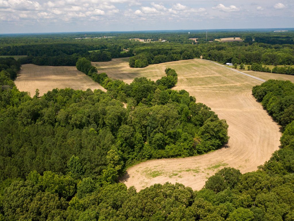 McIllwain-Estate-Photo-12