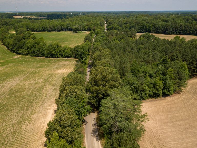 McIllwain-Estate-Photo-13