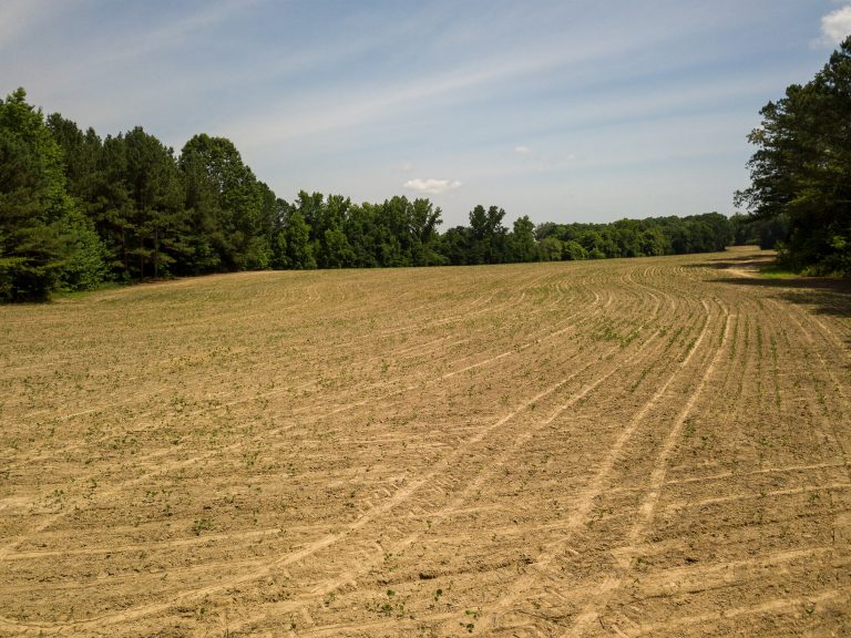 McIllwain-Estate-Photo-15