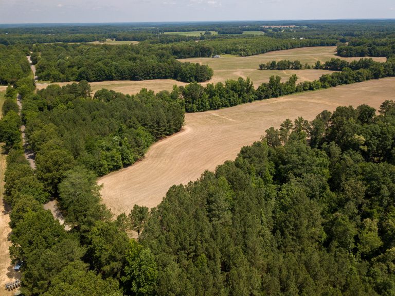 McIllwain-Estate-Photo-18