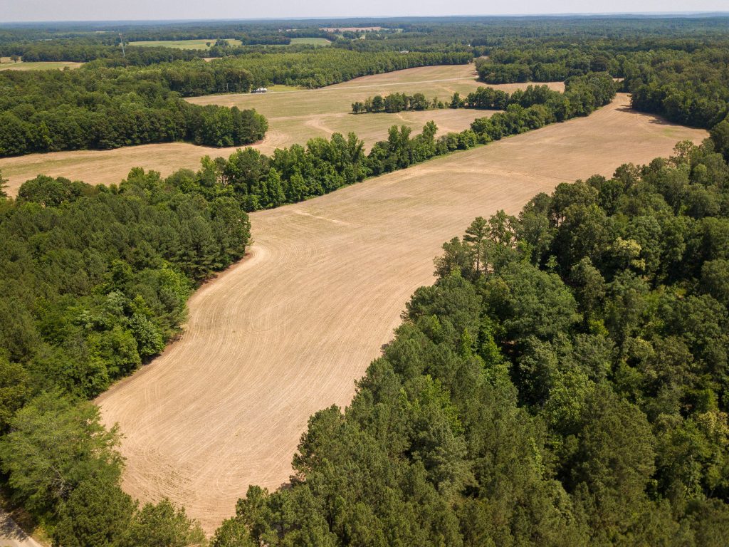 McIllwain-Estate-Photo-19