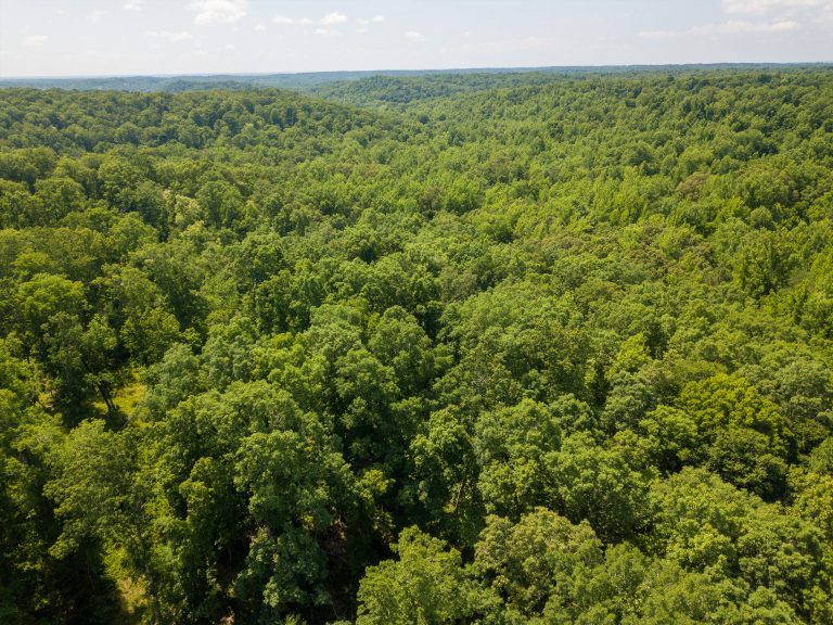 McIllwain-Estate-Photo-2
