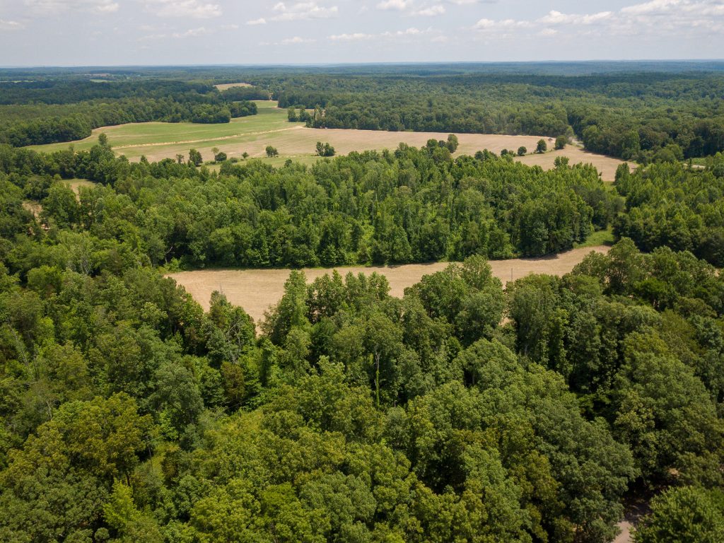 McIllwain-Estate-Photo-5