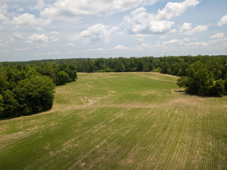 McIllwain-Estate-Photo-6
