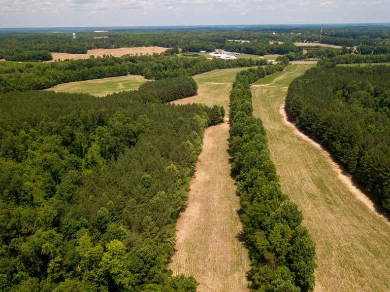 McIllwain-Estate-Photo-7