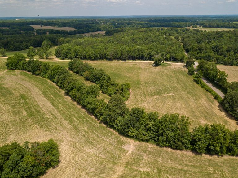McIllwain-Estate-Photo-8