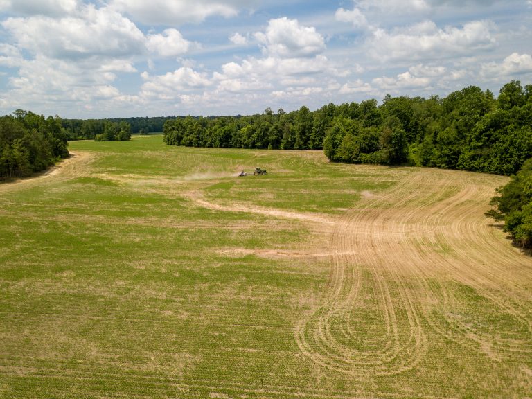 McIllwain-Estate-Photo-9