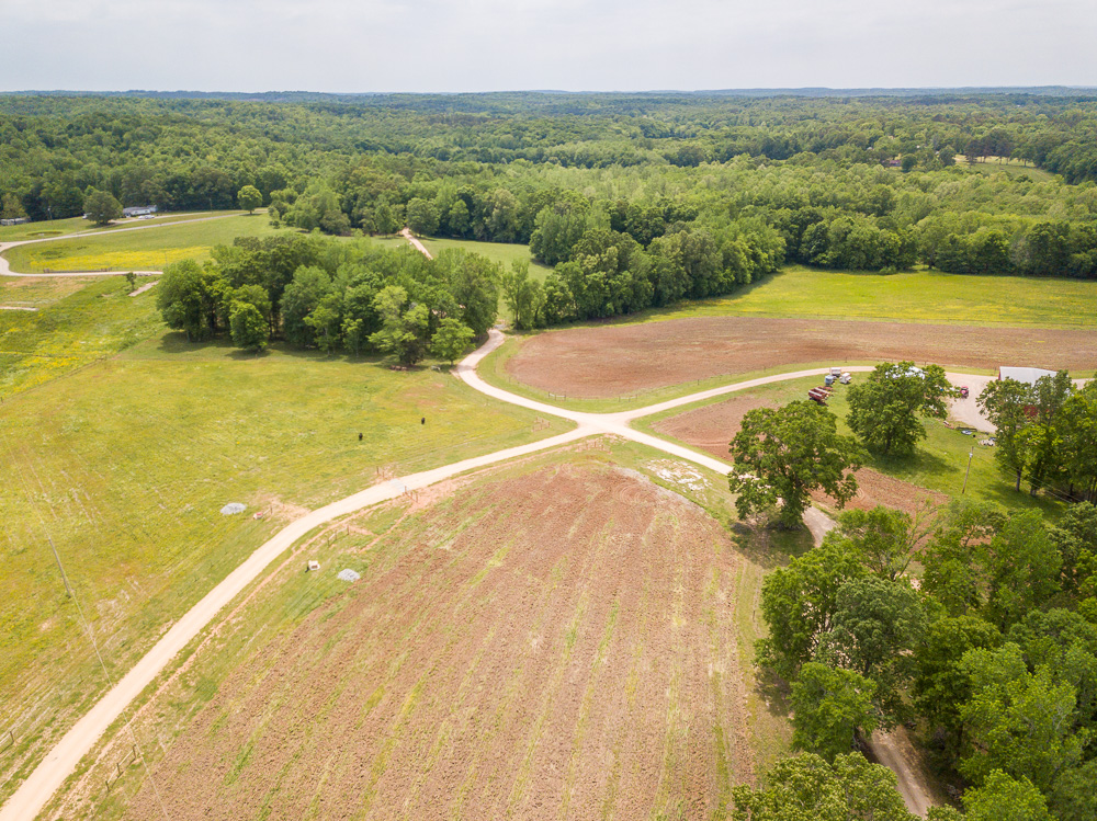 Paradise Point Spring 2022-18