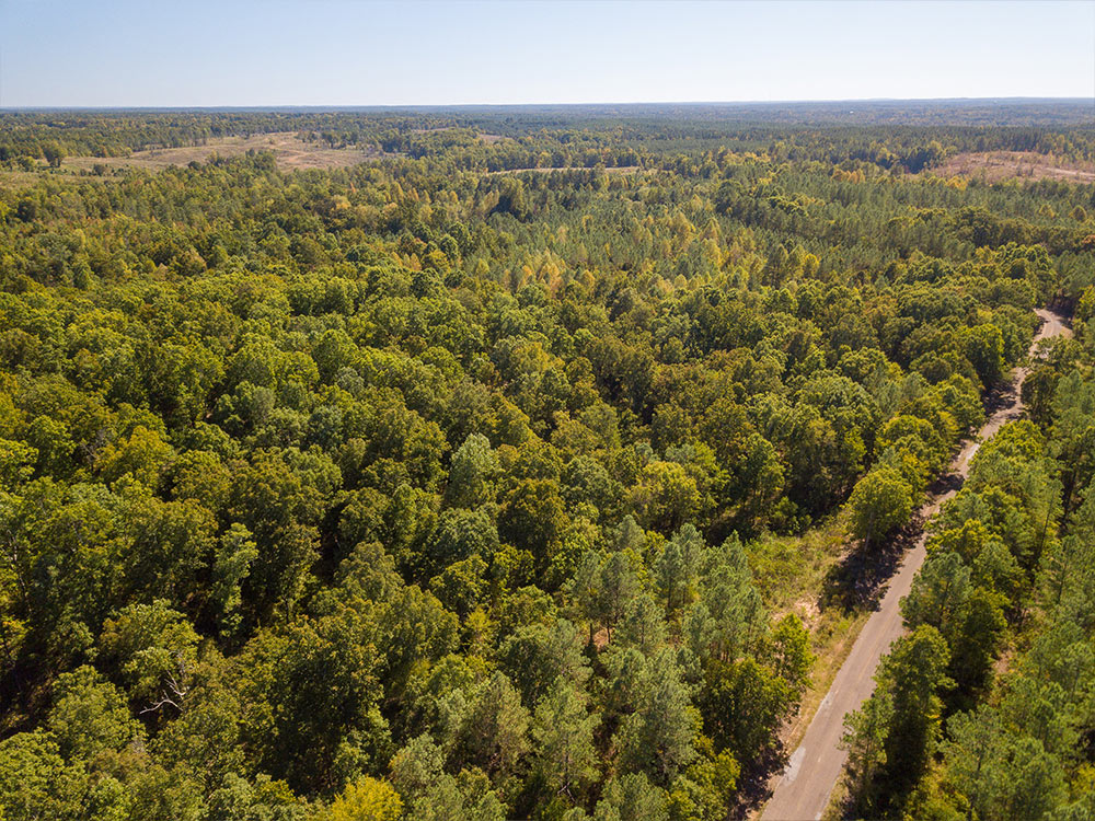 Land-in-Hardeman-Co-1