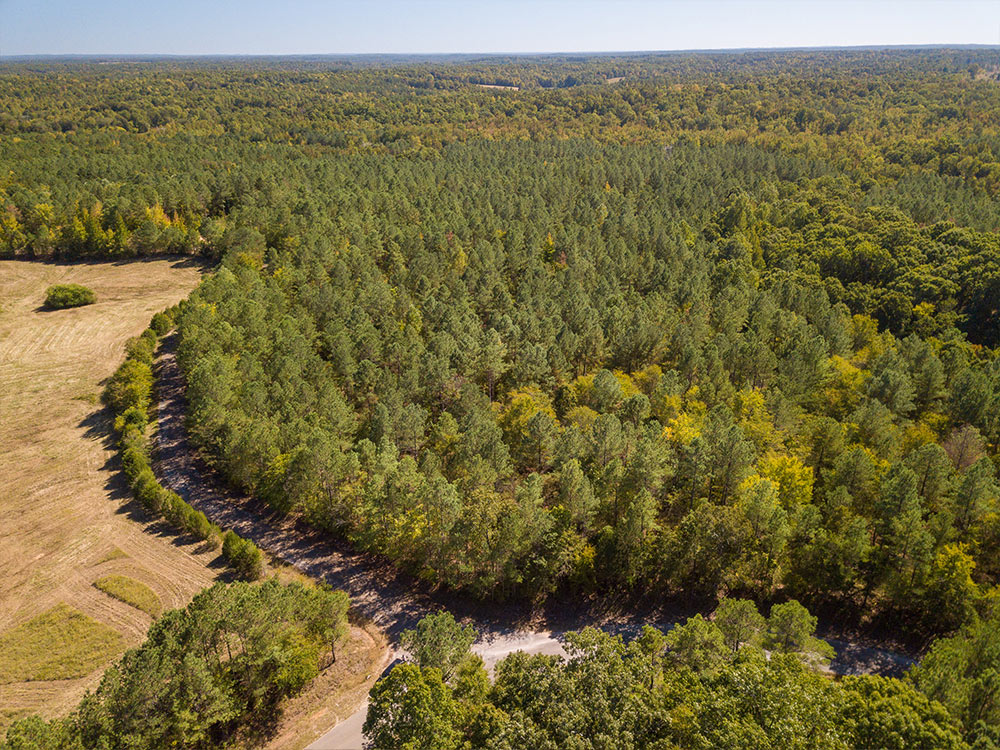 Land-in-Hardeman-Co-10