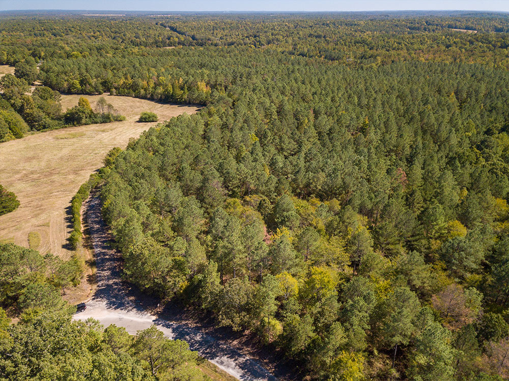 Land-in-Hardeman-Co-11