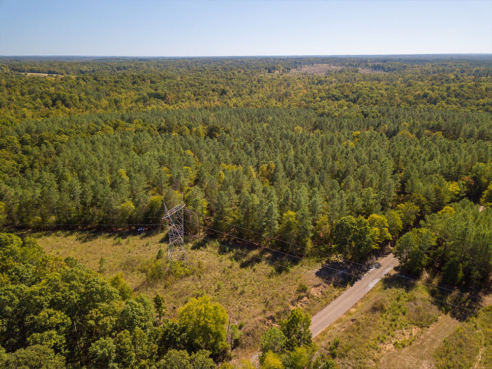 Land-in-Hardeman-Co-12