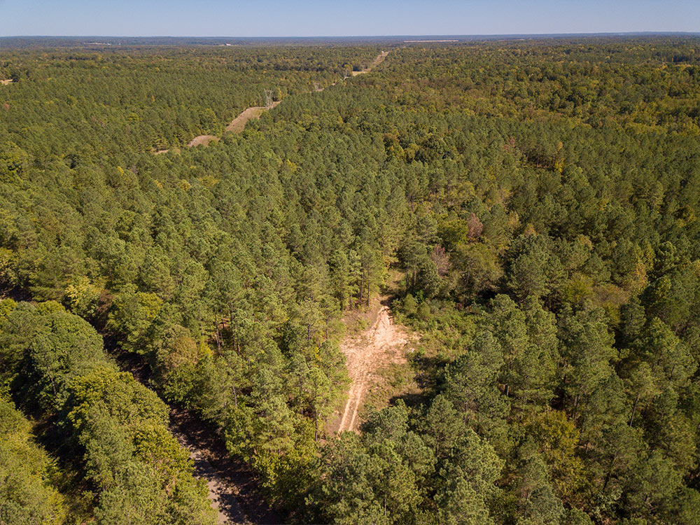 Land-in-Hardeman-Co-14