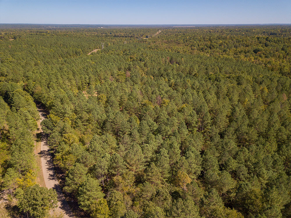 Land-in-Hardeman-Co-15