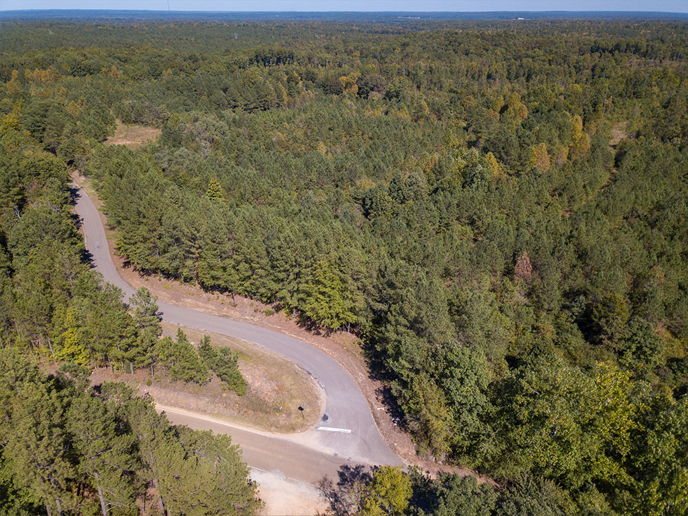 Land-in-Hardeman-Co-16