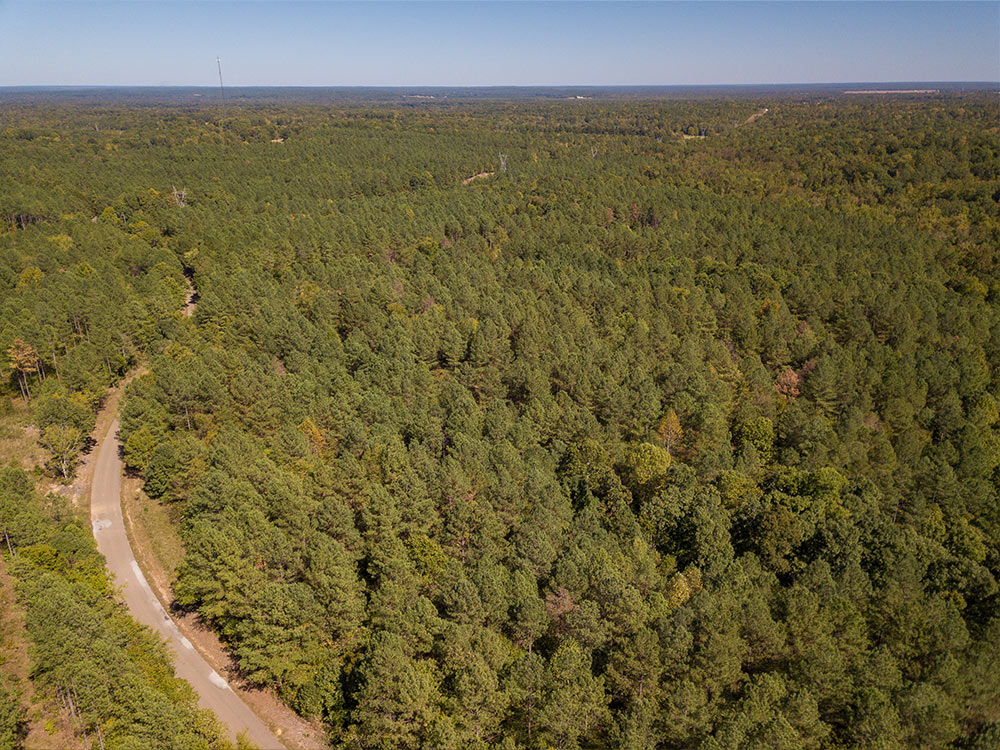 Land-in-Hardeman-Co-17