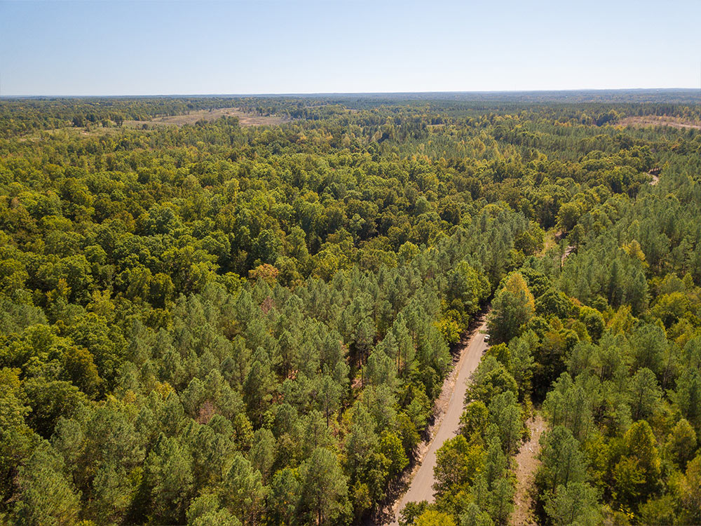 Land-in-Hardeman-Co-18