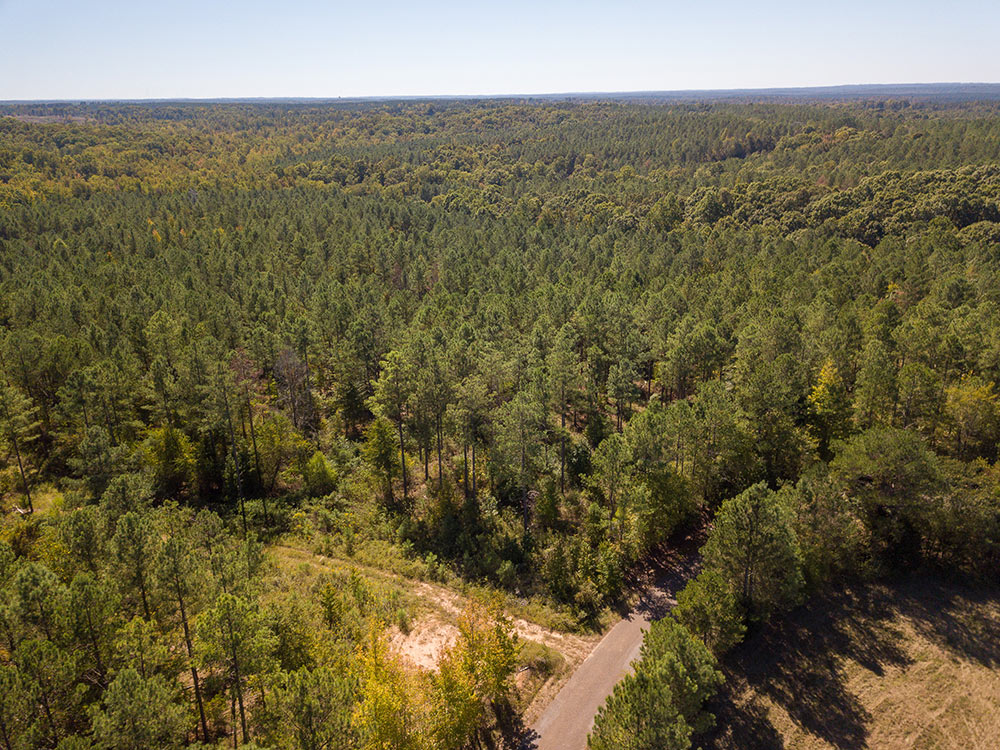 Land-in-Hardeman-Co-19