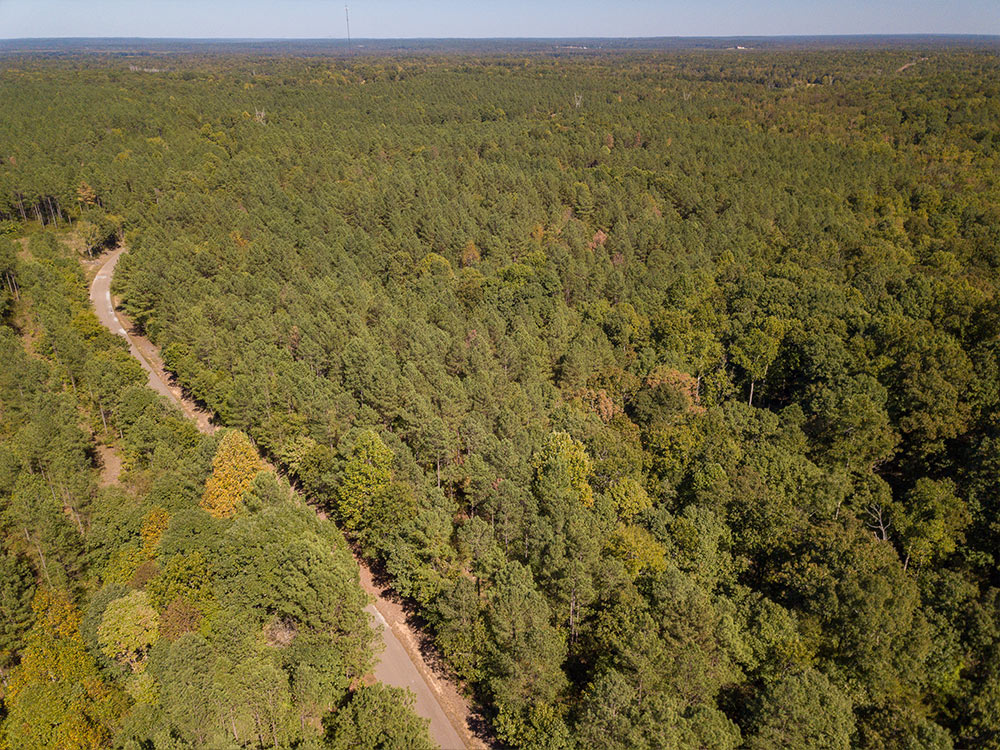 Land-in-Hardeman-Co-2