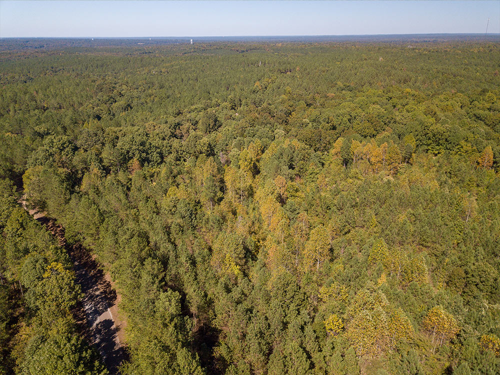 Land-in-Hardeman-Co-3