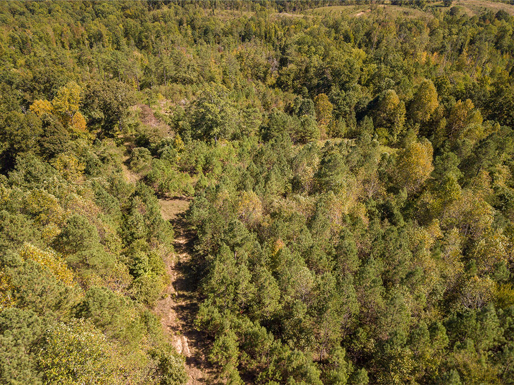 Land-in-Hardeman-Co-4