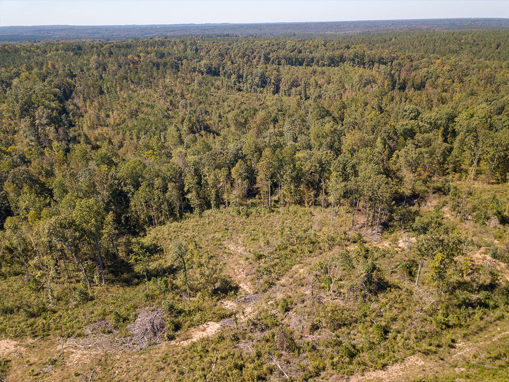 Land-in-Hardeman-Co-5