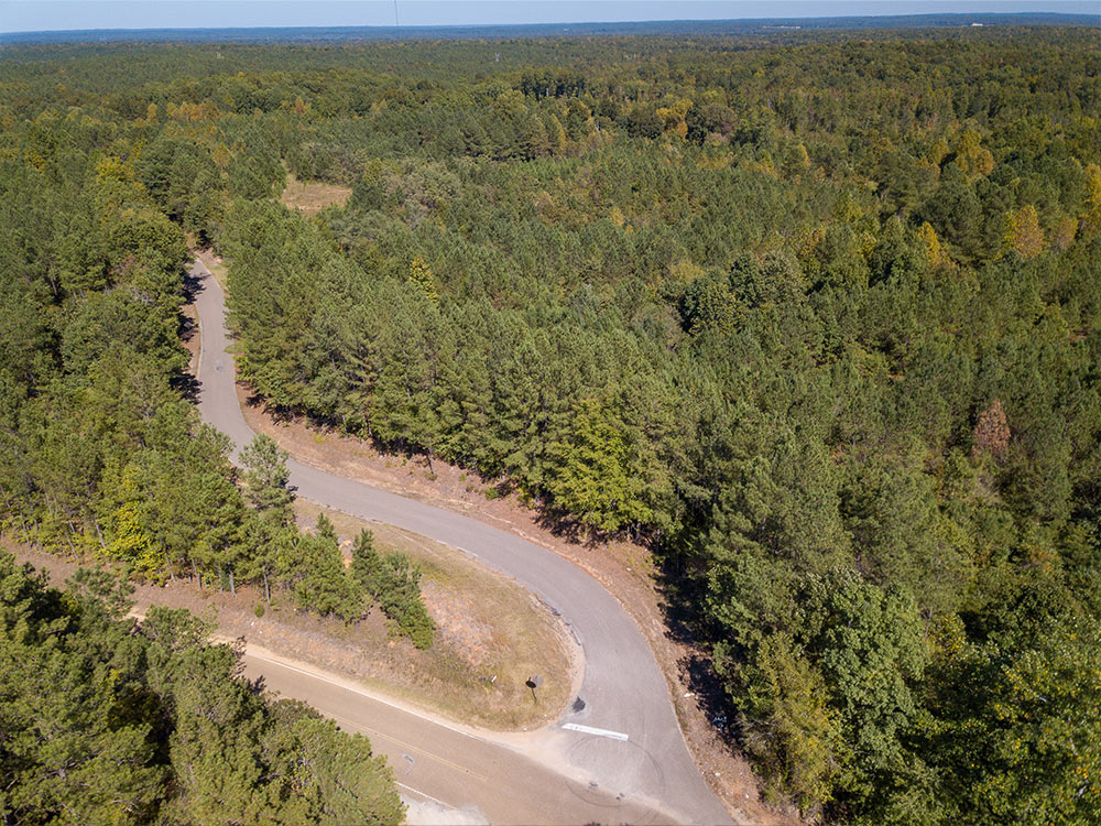 Land-in-Hardeman-Co-6