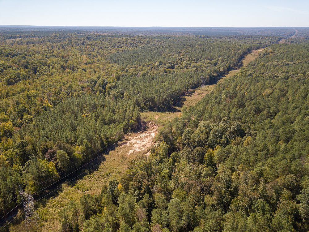 Land-in-Hardeman-Co-8